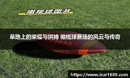 易彩堂-追求健康